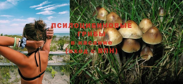 2c-b Алексеевка