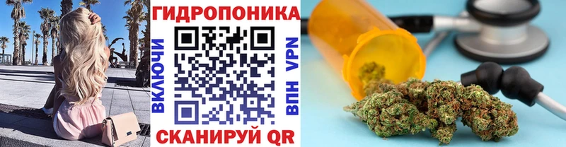 купить  цена  Железноводск  Бошки Шишки AK-47 